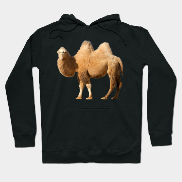 boss hoodie camel